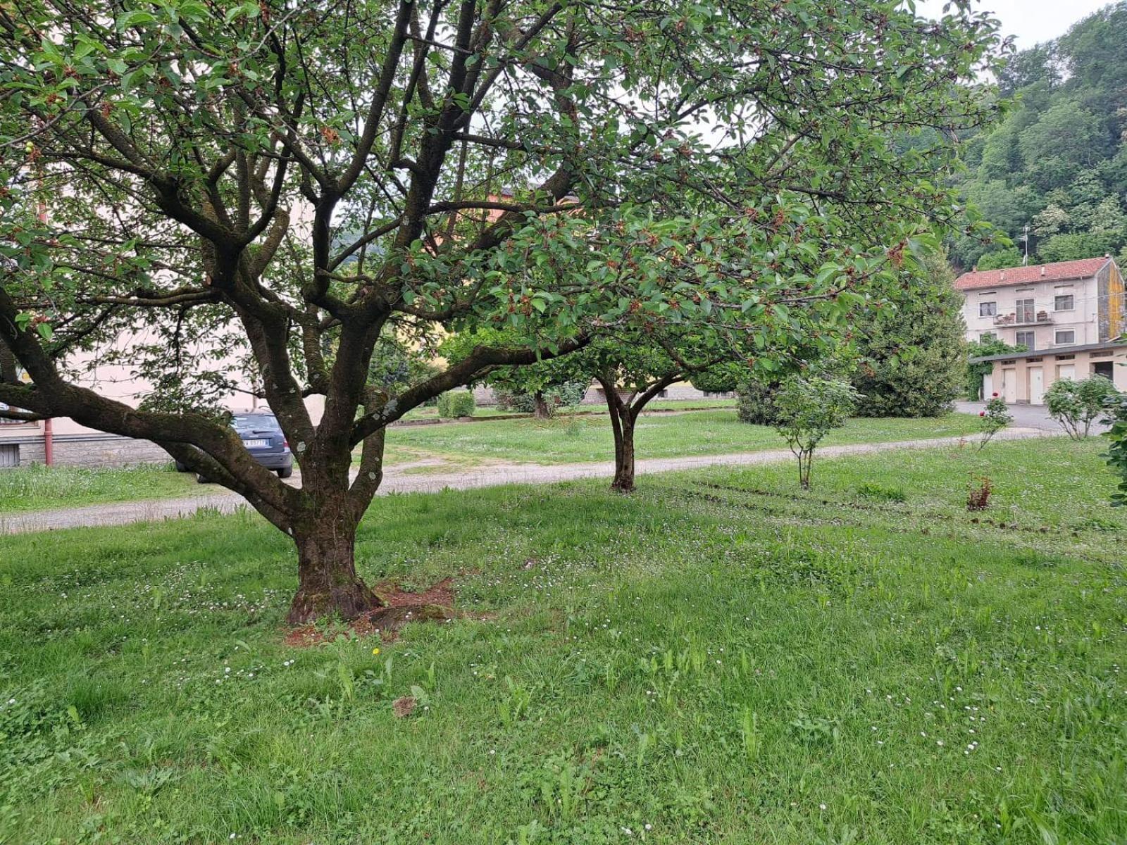 Seraval Valsesia Apartment Serravalle Sesia Екстериор снимка