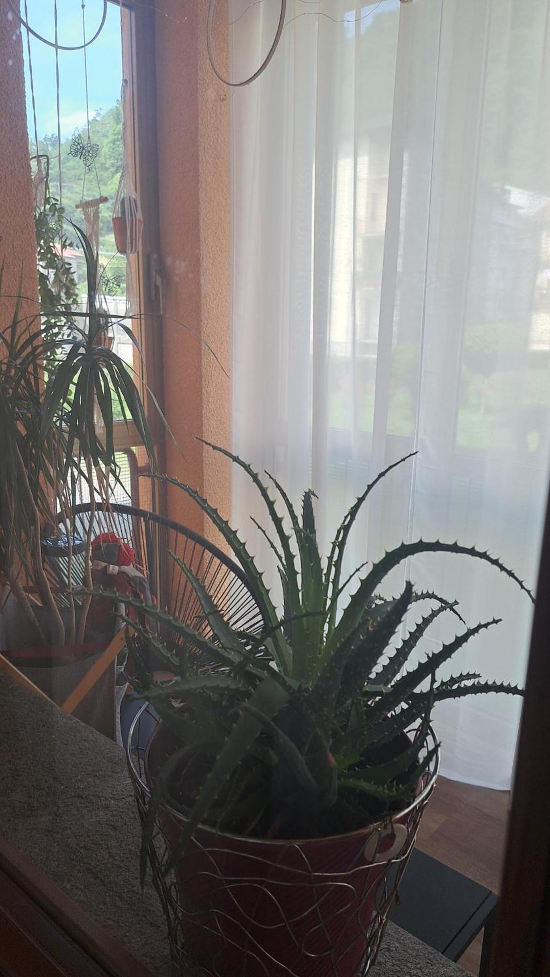 Seraval Valsesia Apartment Serravalle Sesia Екстериор снимка